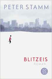 Peter Stamm:
              Blitzeis